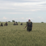 combat medic training in wheat fields of Ukraine .